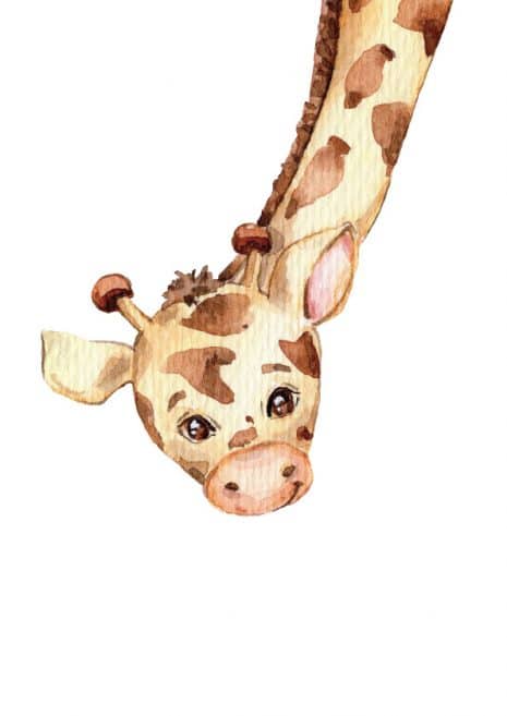Hand Painted Giraffe Art Print