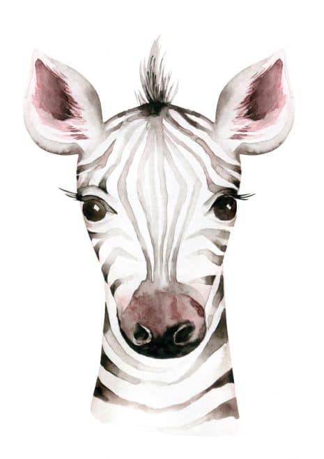 Hand Painted Zebra Art Print