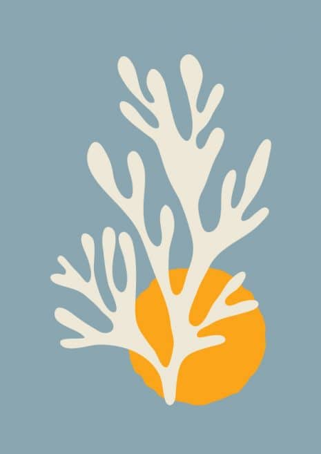 Matisse Coral 1 Art Print