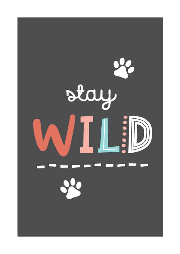 With boarder_Tribal_Nursery_Print_3_A4_B.pdf